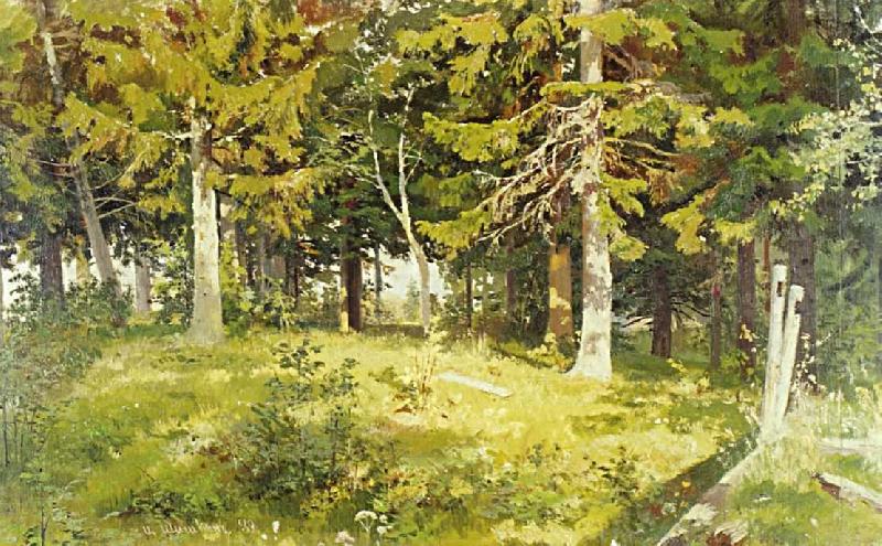 Ivan Shishkin Glade in a Forest oil painting picture
